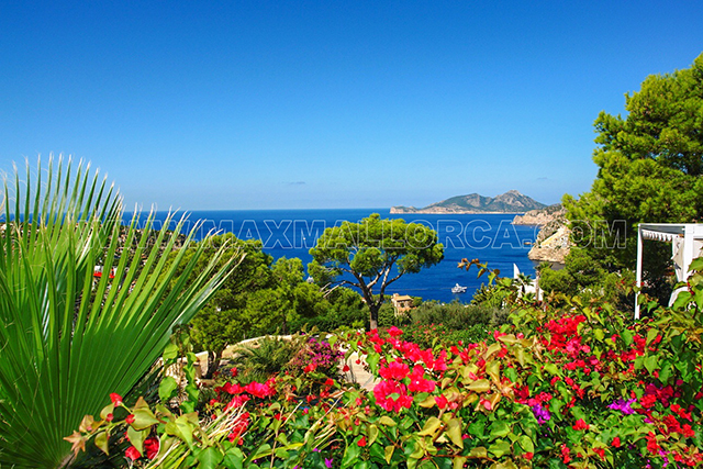 villa_mallorca_top_first_class_residence_5_schlafzimmer_top_hill_sauna_pool_puerto andratx_private_resort_villa_bergkuppe_cala_marmacen_total_meer_blick_panorama_19.jpg